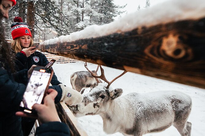 1 Day Pass Lapland Winter Park in Rovaniemi - The winter circuit: ice slide, snowy forest, and games