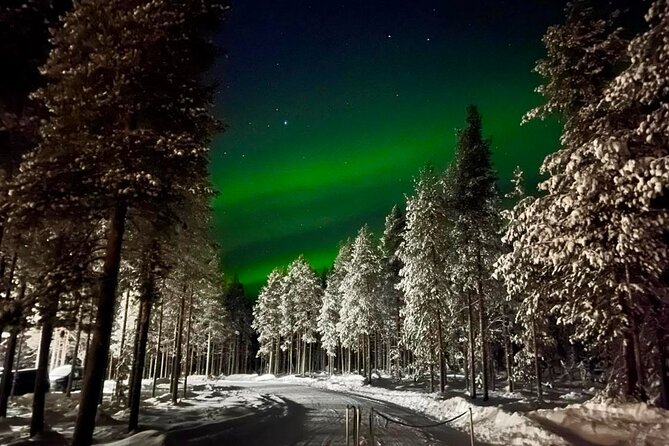 1 Day Pass Lapland Winter Park in Rovaniemi - Kota huts, marshmallow warming, and smart breaks from the cold