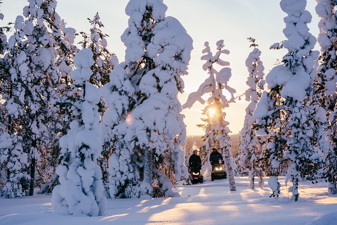 1-Hour Snowmobile Safari Experience - Why This 1-Hour Lapland Snowmobile Safari Works for First-Timers
