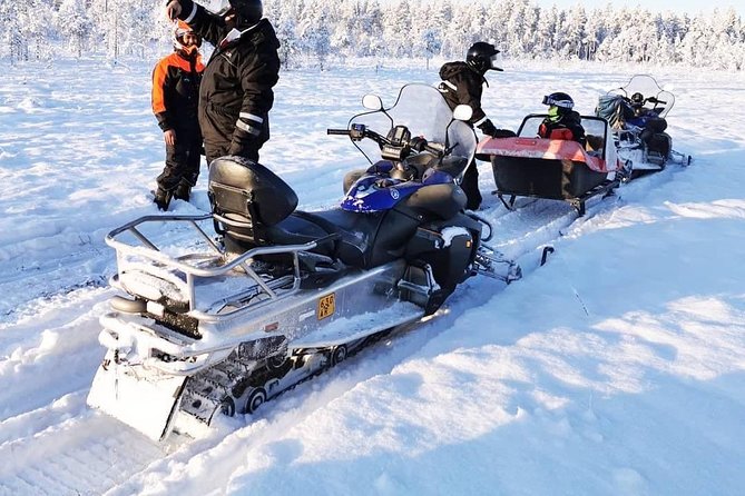 1-Hour Snowmobile Safari Experience - Who Should Book This Snowmobile Safari, and Who Might Skip It