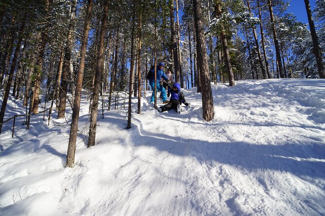 10 km Authentic Husky Safari in the Taiga Forest – Family Kennel - Rovaniemi to the Taiga: why the long drive is part of the value