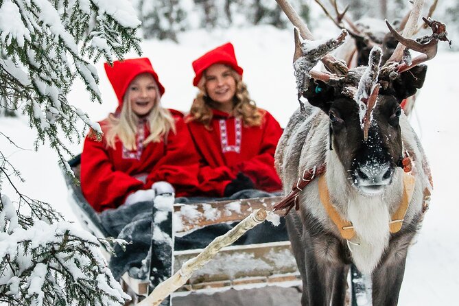 2km Sleigh Ride & Feeding Experience at Traditional Reindeer Farm - Quick highlights you will actually care about