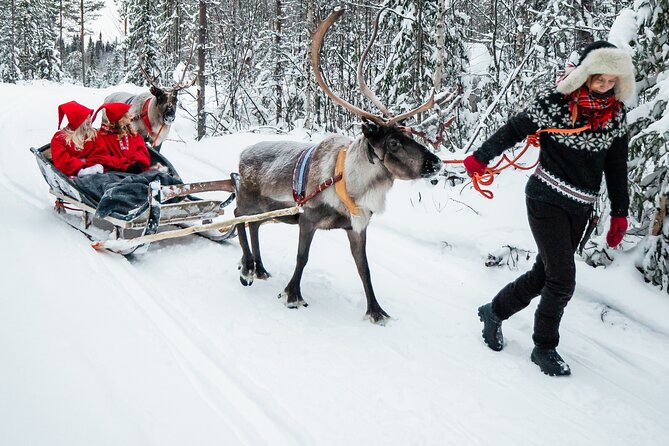 2km Sleigh Ride & Feeding Experience at Traditional Reindeer Farm - Warm drinks and snacks in a cozy hut, right after the cold