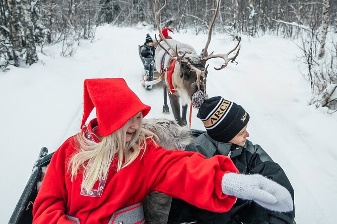 2km Sleigh Ride & Feeding Experience at Traditional Reindeer Farm - Reindeer feeding and close interaction, with photo moments built in