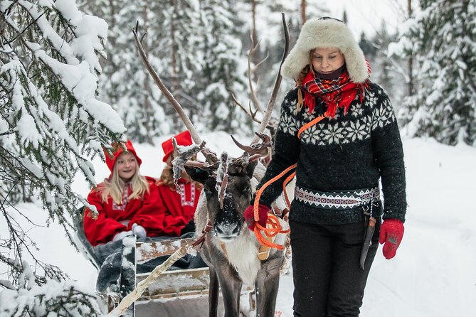 2km Sleigh Ride & Feeding Experience at Traditional Reindeer Farm - How much is it, and why the value actually makes sense