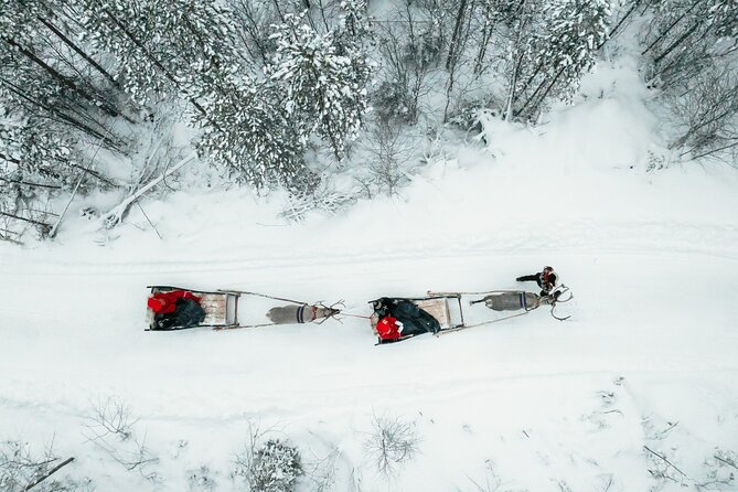 2km Sleigh Ride & Feeding Experience at Traditional Reindeer Farm - Pickup, travel time, and why good planning helps