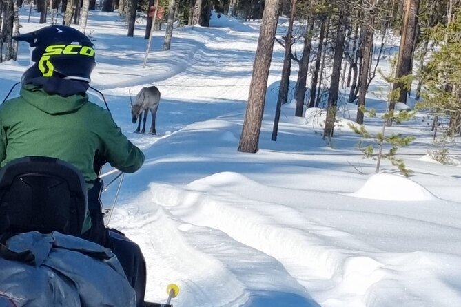3 Days Raid Snowmobile in Finnish Lapland - Who This Trip Fits Best (And Who Should Consider Other Options)