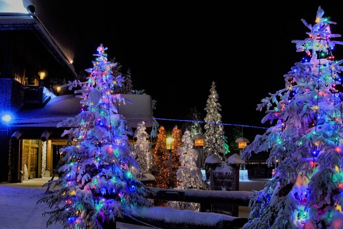 Airport & City Transfers in Rovaniemi - Who should book this Rovaniemi transfer?