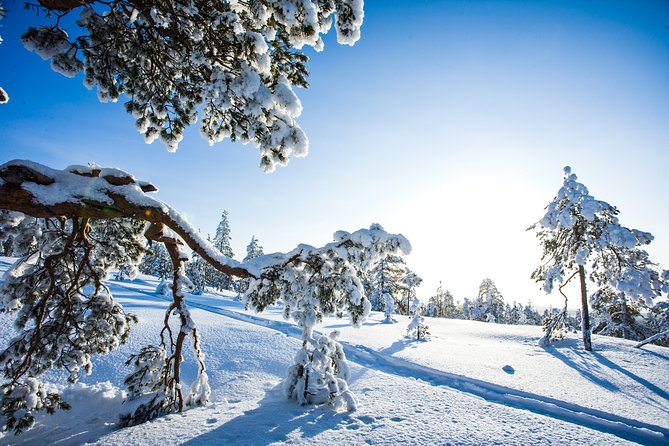 All Day Snowmobile Driving - The Snowmobile Machines: Lynx Adventure Models And Why Quiet Matters