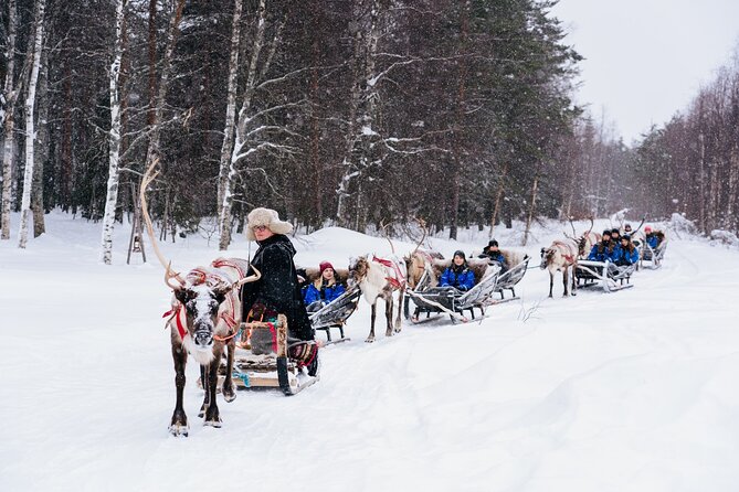 Apukka Reindeer Journey - Getting to the sleigh: pickup timing from Rovaniemi and Santa Claus Village