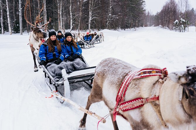 Apukka Reindeer Journey - The kota break: hot berry juice, biscuits, and guide stories