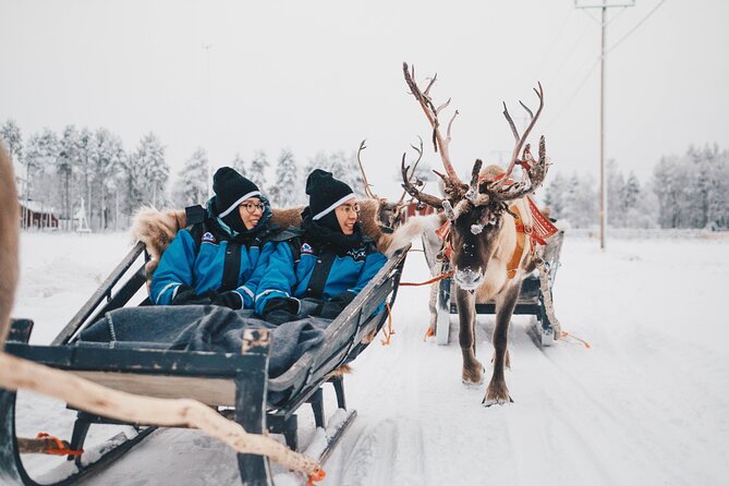 Apukka Reindeer Journey - Meet the reindeer: petting and photos before and after the ride