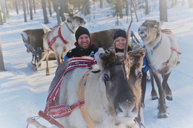 Apukka Reindeer Journey - The reindeer sleigh ride: winter gear, blankets, and quiet forest time