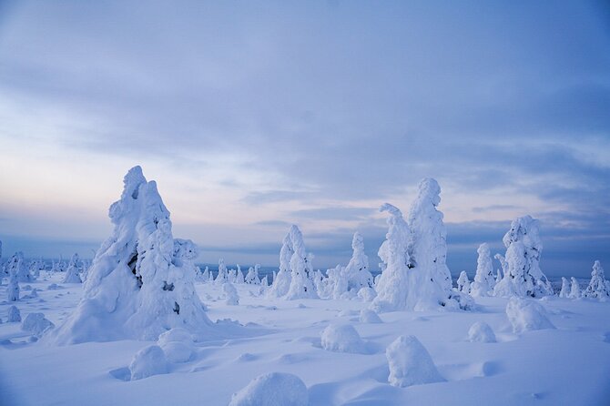 Arctic Adventure through Magical Frozen Forests of Riisitunturi - Key highlights you will feel on the day