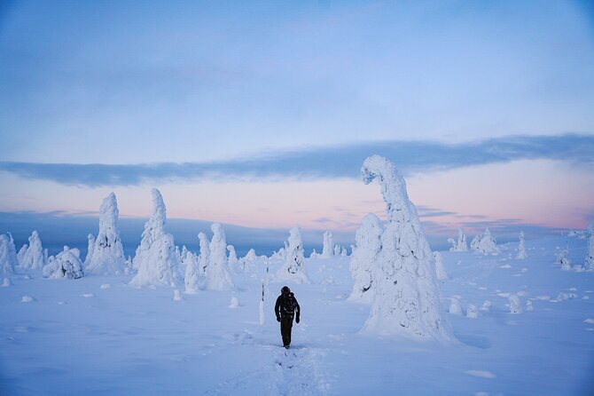 Arctic Adventure through Magical Frozen Forests of Riisitunturi - Frozen Spruce Trees And 4 Kilometres Of Arctic Magic In Riisitunturi