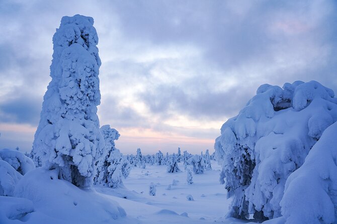 Arctic Adventure through Magical Frozen Forests of Riisitunturi - Value Check: What Your $228.56 Includes, And The Apukka Fee