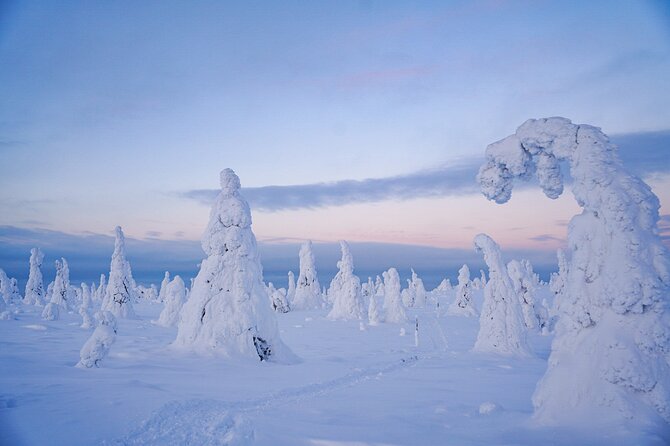 Arctic Adventure through Magical Frozen Forests of Riisitunturi - Who Should Book This Small-Group Tour To Riisitunturi