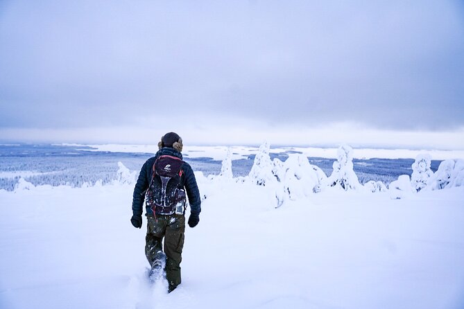 Arctic Adventure through Magical Frozen Forests of Riisitunturi - Two-Hour Morning Drive From Rovaniemi, Then Back Before 17:00