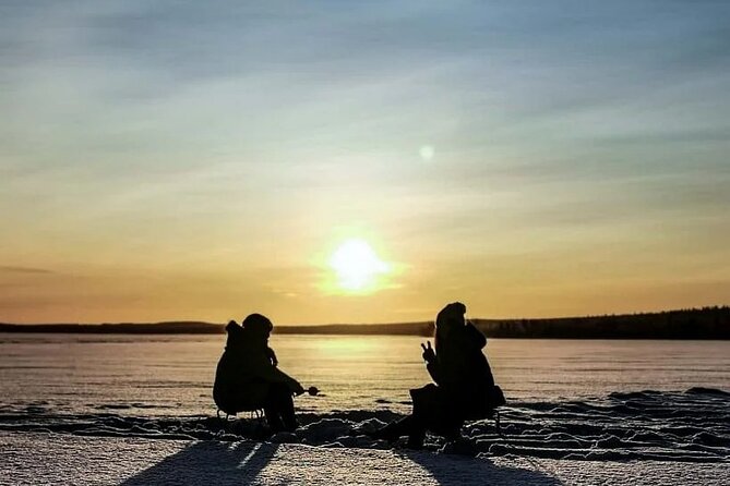 Arctic Circle Family Day - Key Points to Know Before You Go