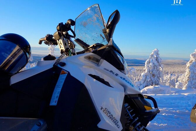 Arctic Circle Family Day - Husky Sleigh Ride: The Forest Start That Sets the Tone