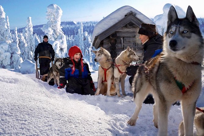 Arctic Circle Family Day - The Real Rhythm of the Day: Where Time Goes