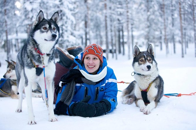 Arctic Circle Family Day - Meeting Point, Pickup, and Timing: The 8:00 am Reality