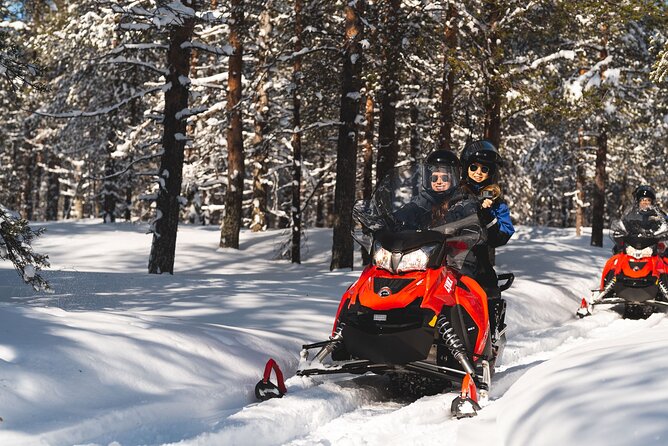 Arctic Circle Snowmobile Safari for Beginners in Rovaniemi - Driving at 10 km/h: How Beginners Learn Without Panic