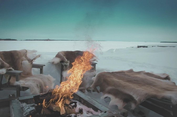 Arctic Darkness & Starlight Adventure with Snowshoes - When the Northern Lights Cooperate (And When They Don’t)