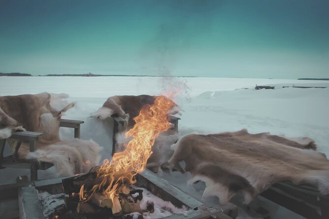 Arctic Darkness & Starlight Adventure with Snowshoes - Private Transportation and a Guide Who Adjusts