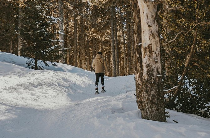 Arctic Darkness & Starlight Adventure with Snowshoes - Weather and the Reality Check on Aurora Nights