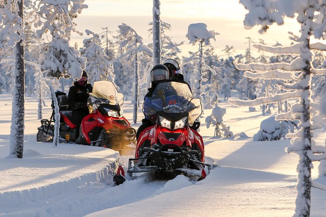 Arctic Delight - Visit to Santa's Village and snowmobiling to reindeer farm - Who Should Book This Tour (And Who Might Skip It)