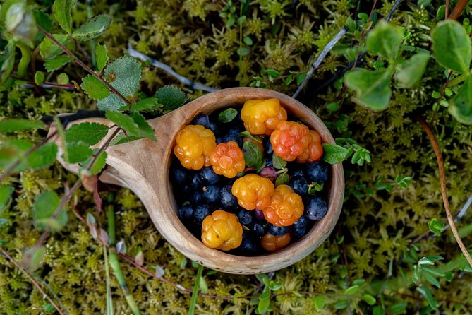 Arctic Wilderness Hike with Fire-making - Arctic survival training paired with a gentle wilderness hike