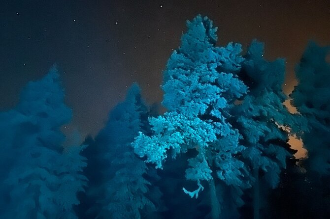 Aurora Borealis Dinner in a Glass Igloo - A 3-Hour Glass Igloo Dinner in Rovaniemi That Feels Like an Event