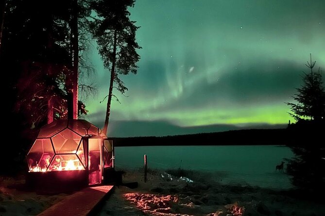 Aurora Borealis Dinner in a Glass Igloo - Entering the Lapland Forest, Frozen Lake Views Included