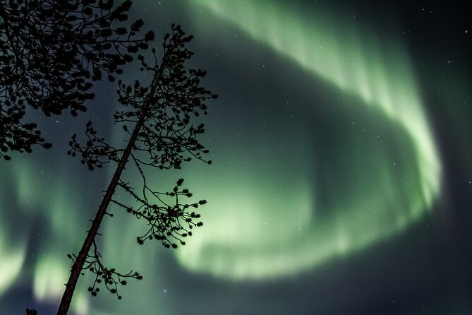 Aurora Borealis Picnic in Rovaniemi - The Lappish Picnic by the Fire: Food That Actually Makes the Cold Easier