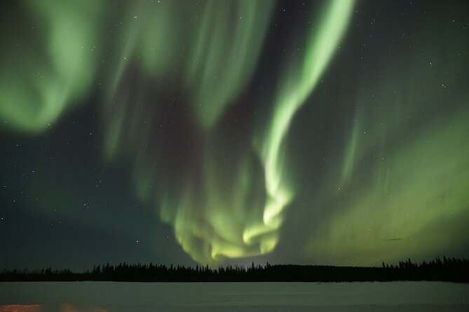 Aurora Borealis Picnic in Rovaniemi - Practical Tips So You Stay Comfortable and Actually Watch