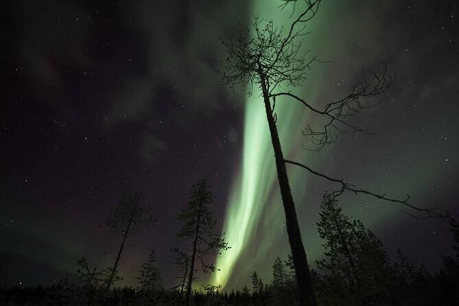 Aurora Borealis Picnic in Rovaniemi - Should You Book This Aurora Borealis Picnic in Rovaniemi?