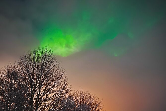 Aurora Hunt with BBQ in Rovaniemi - The “Lady Aurora” waiting game: How guides improve your odds