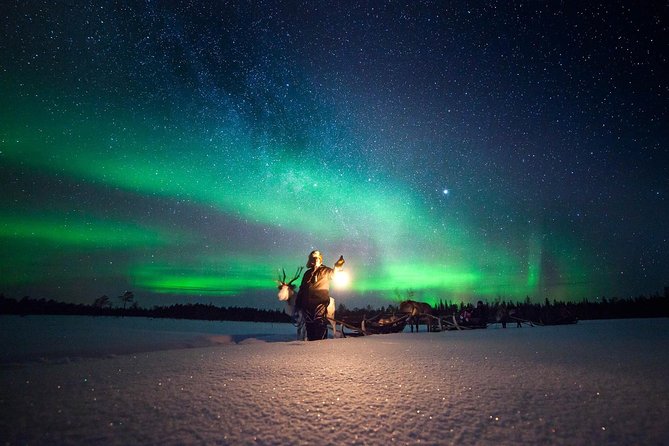 Aurora Hunting by Reindeer Sleigh - Key highlights worth knowing