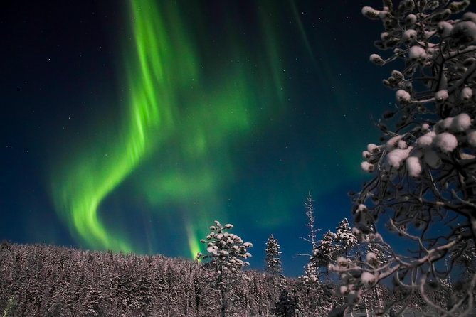 Aurora Ice Floating in Rovaniemi - Group size, water time, and what to do if you care about photos