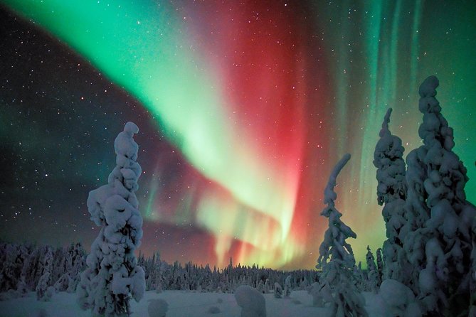 Auroras - Northern Lights Tours by Aurora Experts - Rovaniemi - Getting Started at Rovakatu 26 (and Why the Gear Pickup Matters)