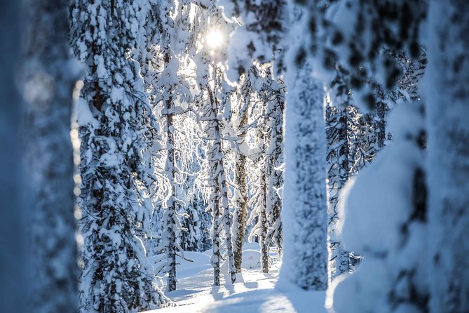 Backcountry skiing adventure - Price and Value: What You Pay For, and What You Get Back