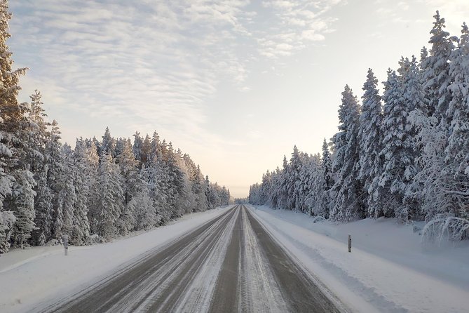 Best Of Lapland: Sauna, Ice swimming, Dinner & Northern Lights - Ice swimming: how to do the cold plunge without losing your nerve