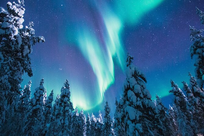 Bus Tour with Hunting Northern Lights - How the Stops Work: One Plan, Then a Second Plan
