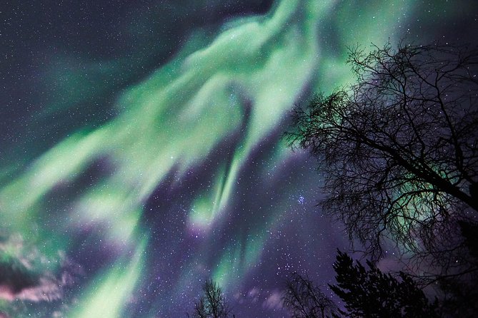 Capturing Auroras in Pyhä - When the auroras start, you are not left alone with your settings