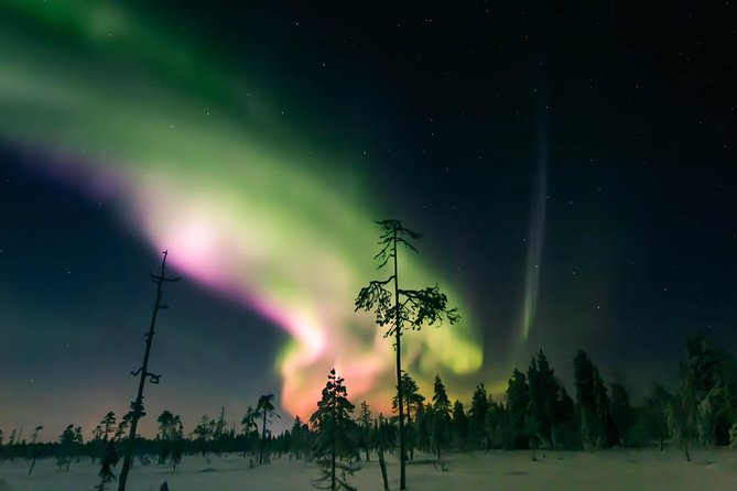 Capturing Auroras in Pyhä - The guide’s job is to get your camera set up, fast