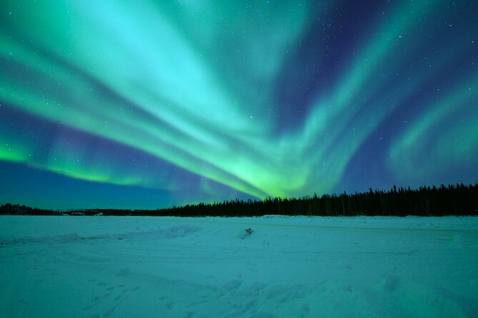 Chasing Aurora with Photographer - Small Group - Who This Tour Fits Best