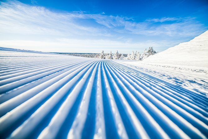 Cross-Country Skiing Trip - Cross-Country Skiing in Rovaniemi That Starts With Real Beginner Coaching