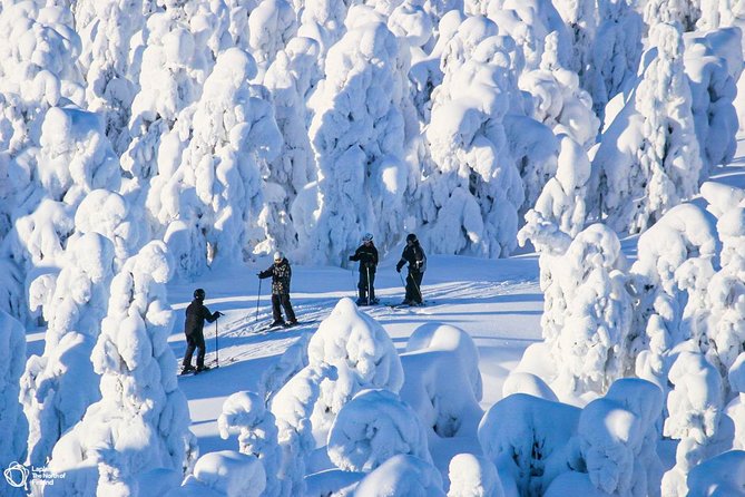 Cross-Country Skiing Trip - Price and Value: Why $119.27 Can Make Sense for Beginners