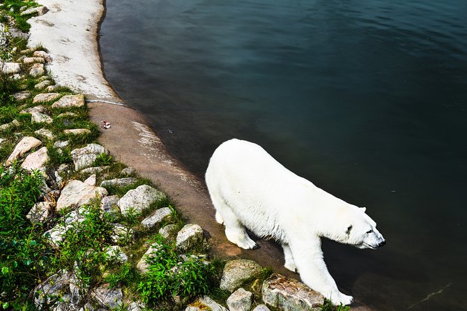 Day Trip to Ranua Arctic Wildlife Park from Rovaniemi - Logistics that keep the day smooth: pickup, mobile ticket, small group
